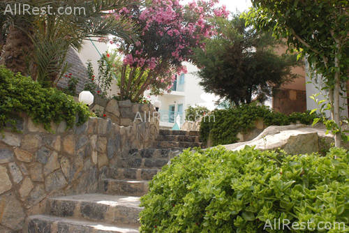 Guler Resort 3